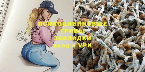 ешки Вязьма