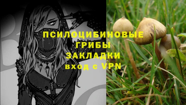 ешки Вязьма