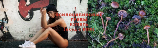 МДПВ Вязники